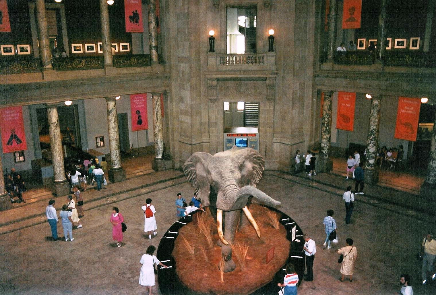 155 DC - 1991 06 - 111 - Natural History Museum