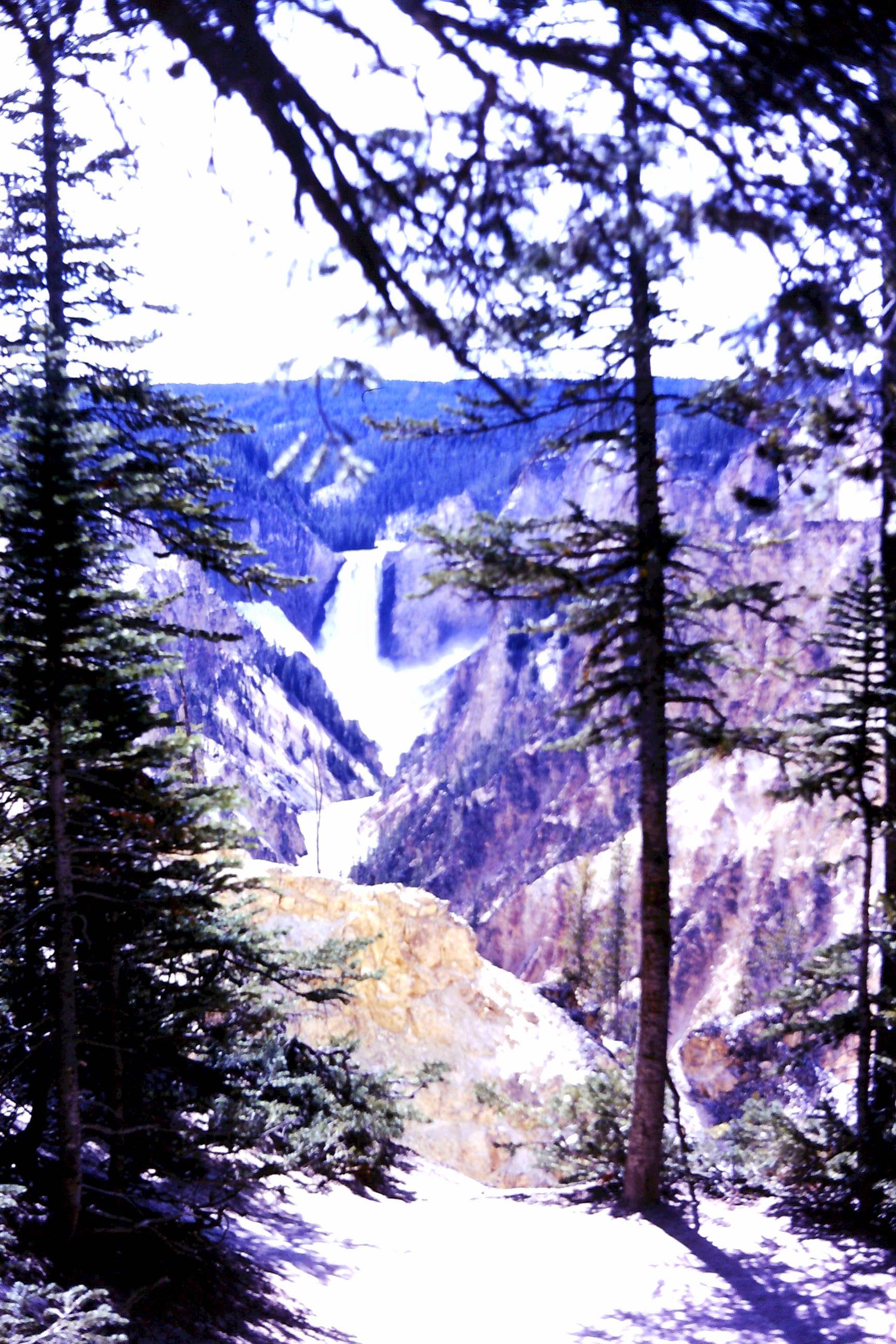 1971 06 - Yellowstone - Canyon 04