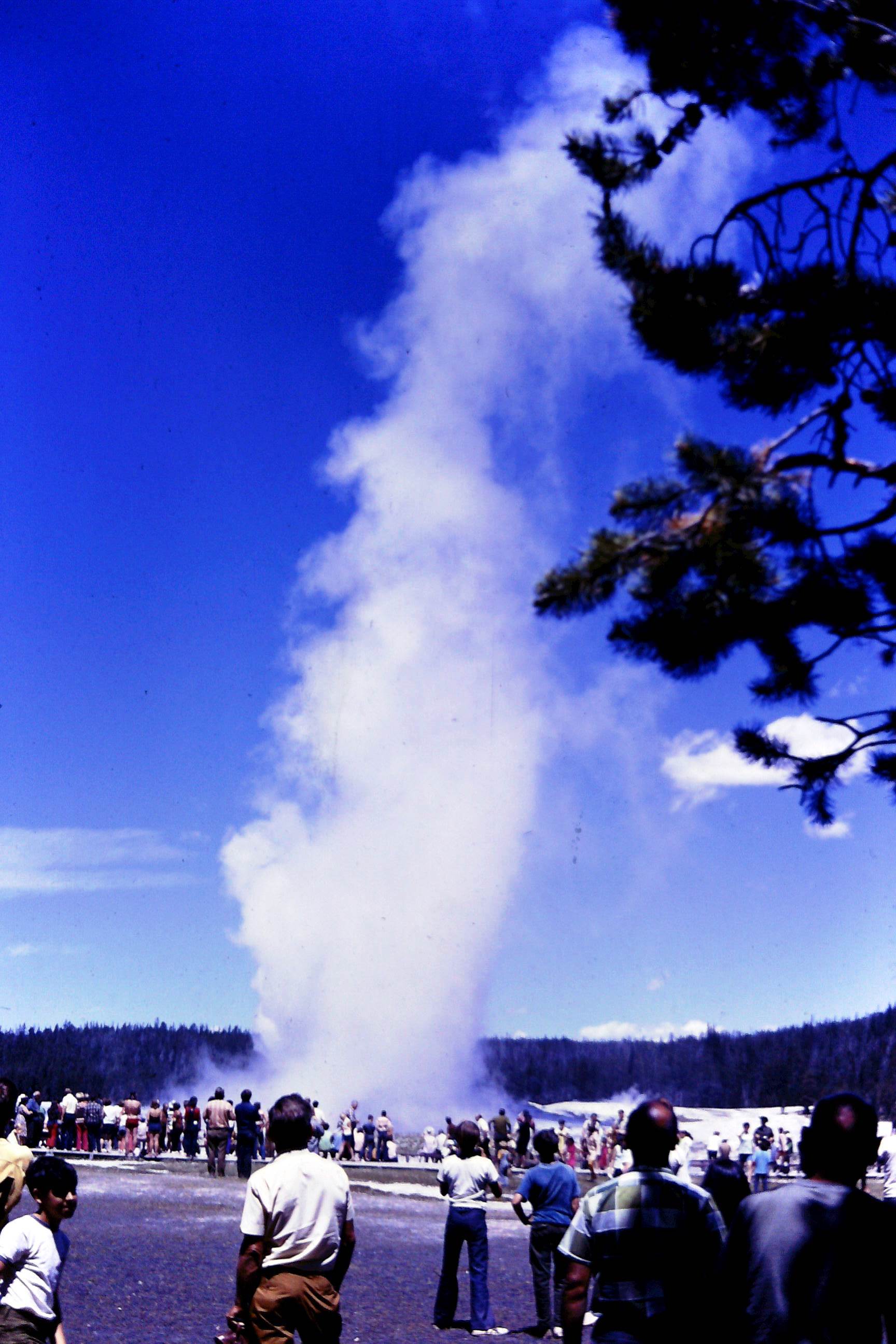 1971 06 - Yellowstone - Old Faithful 02