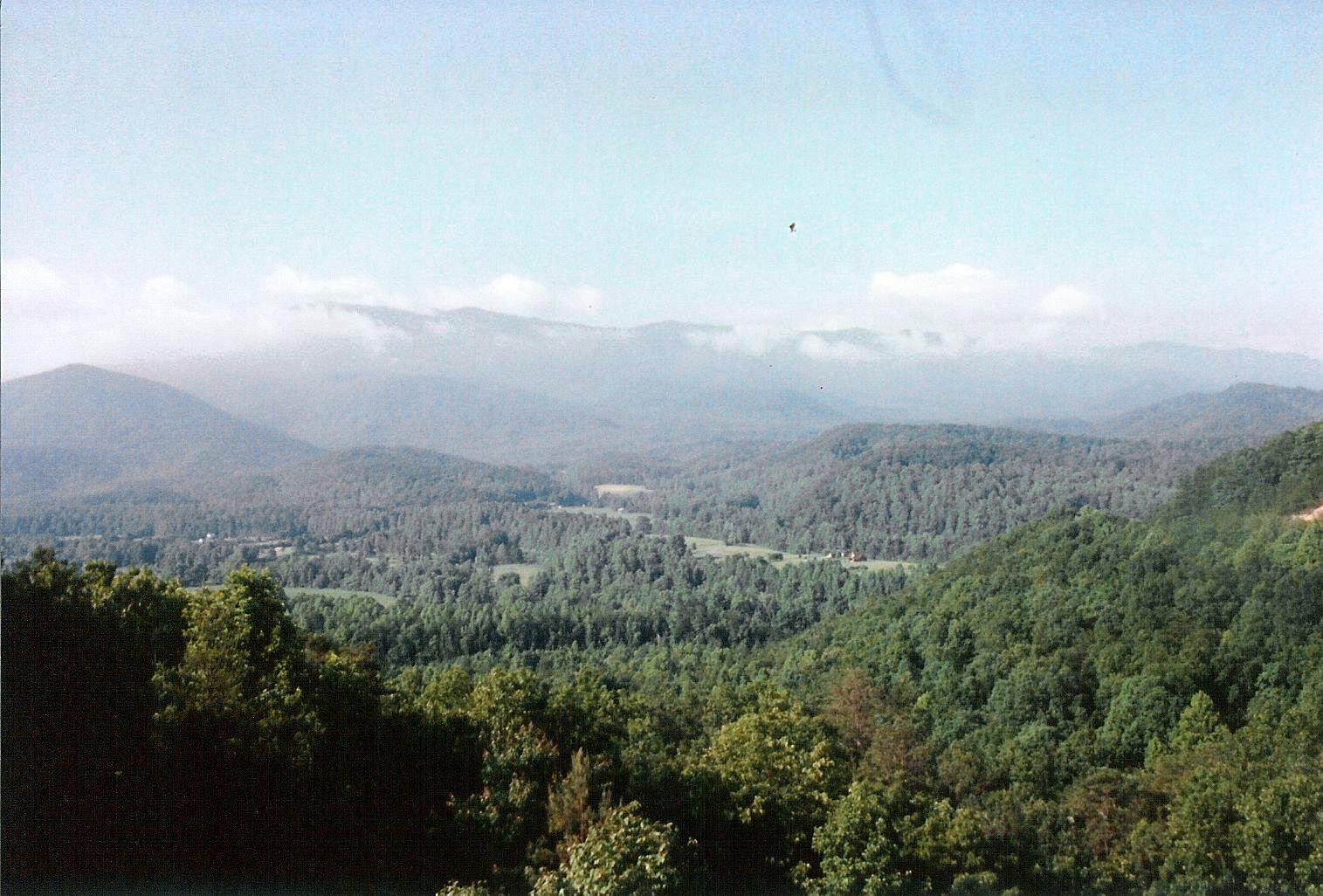 300 Great Smokey Mts Natl Forest - 1991 06 - 101