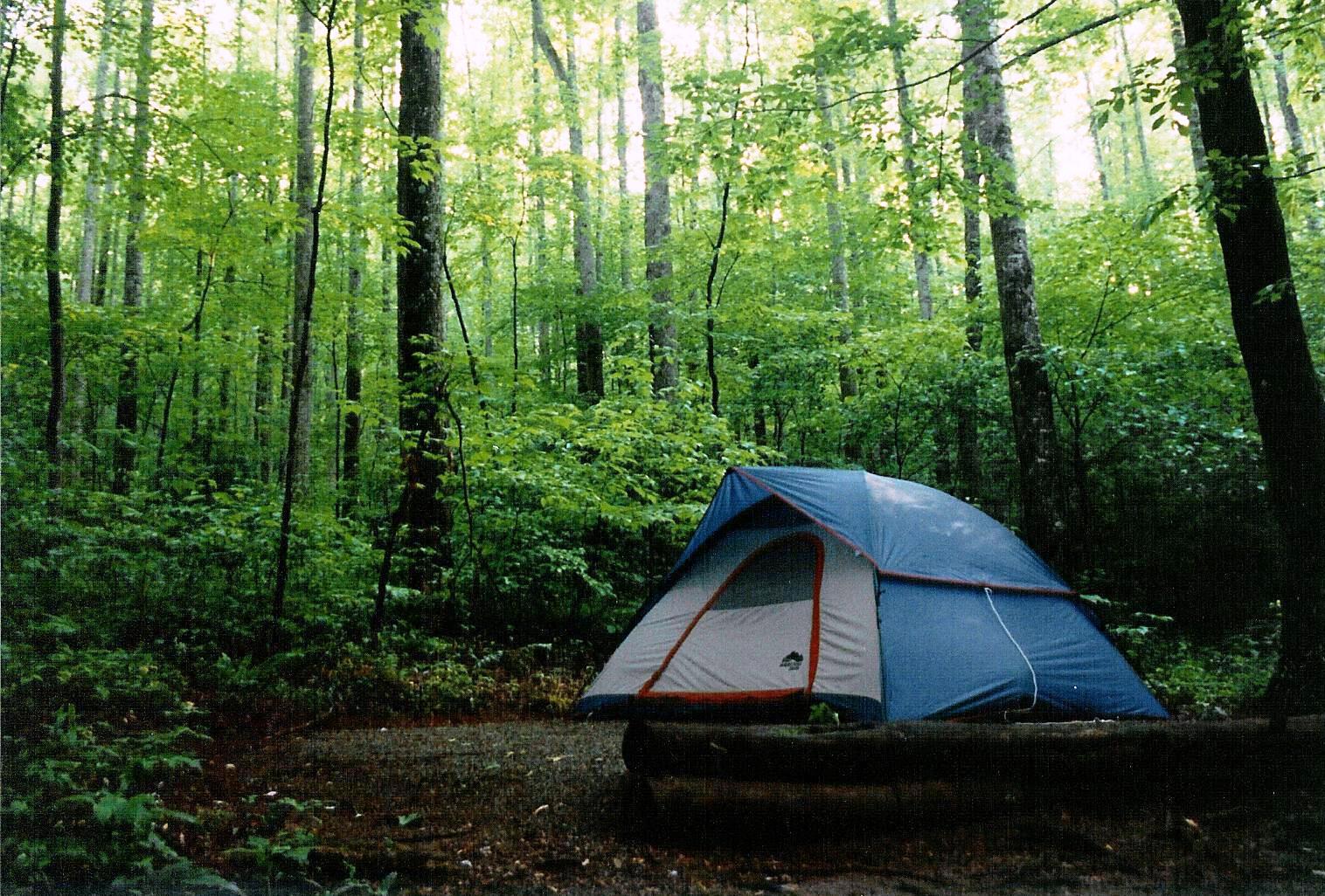 310 Great Smokey Mts Natl Forest - 1991 06 - 111