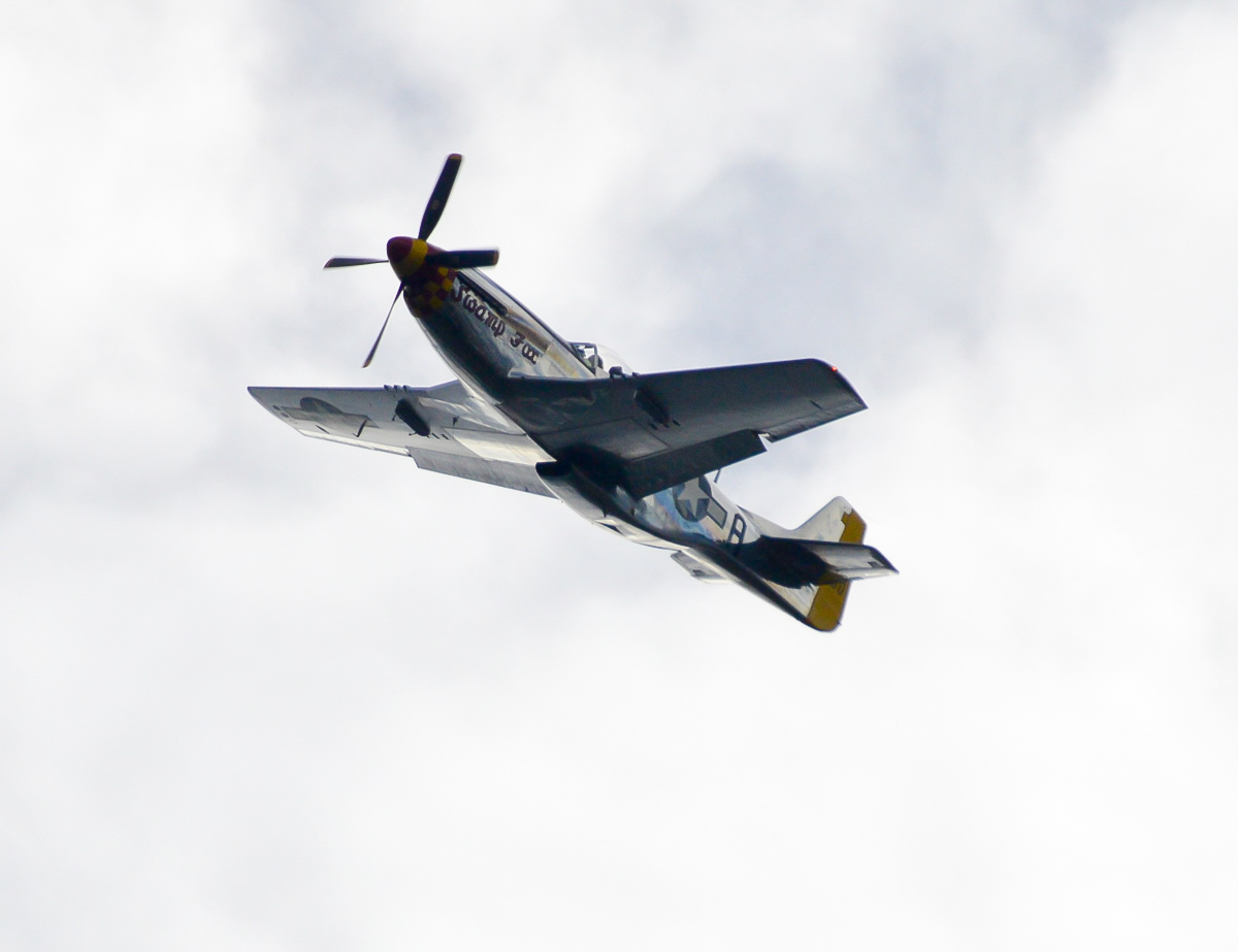 4B WWII-Fighter - P-51 Mustang - 2015 11 - Monroe - P-51D Swamp Fox - 101-2