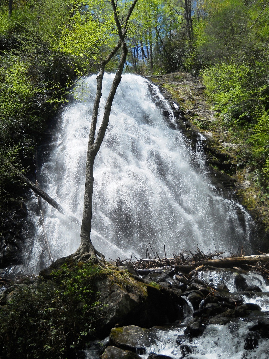 Crabtree Falls - 2013 05 - 04