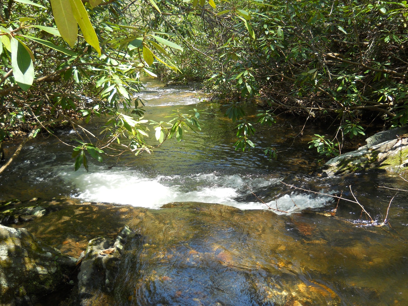 Crabtree Falls - 2013 05 - Trail 06