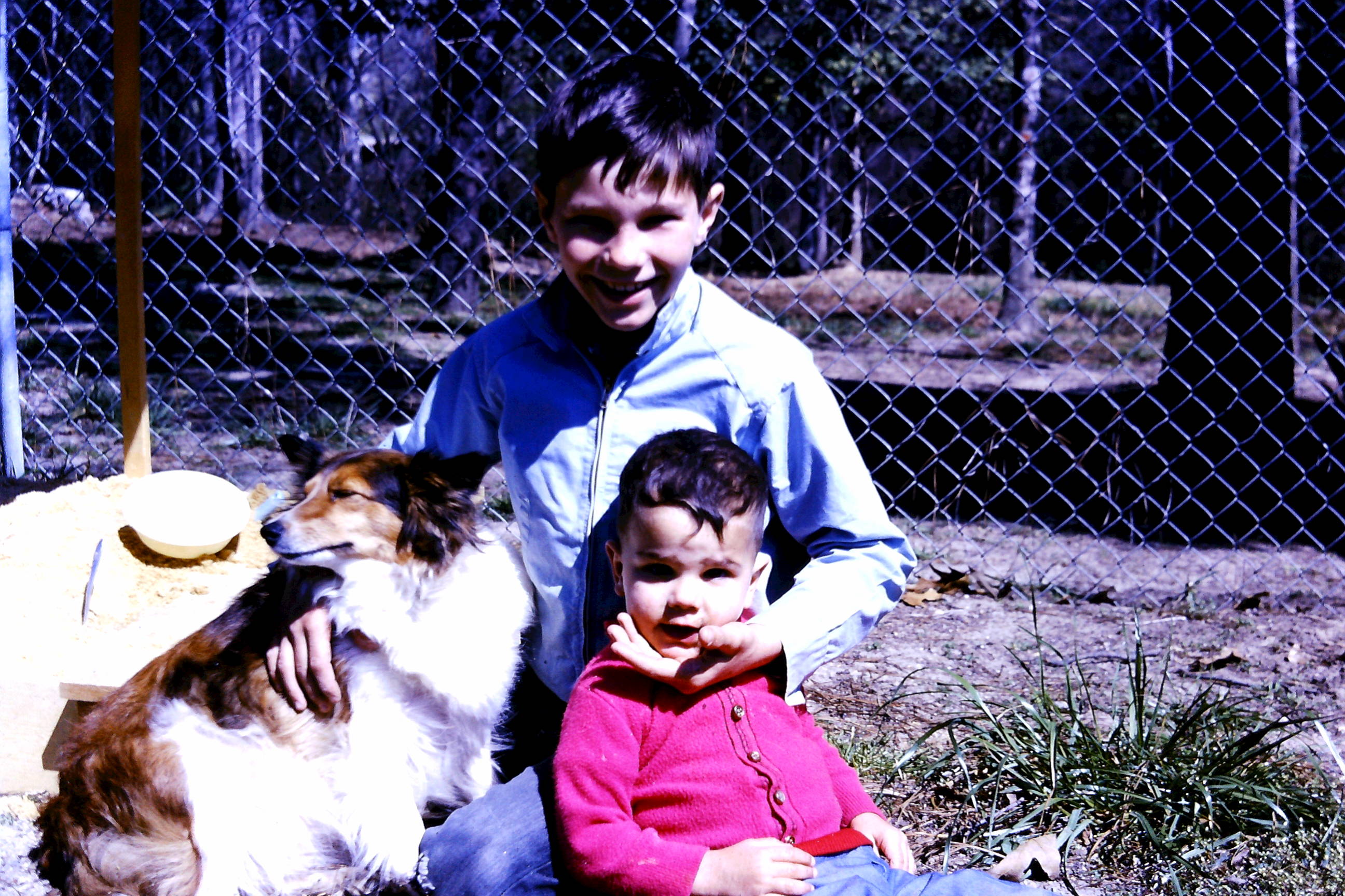 Dog - Princess - 1967 - 01 - John Phil Princess - Robins AFB