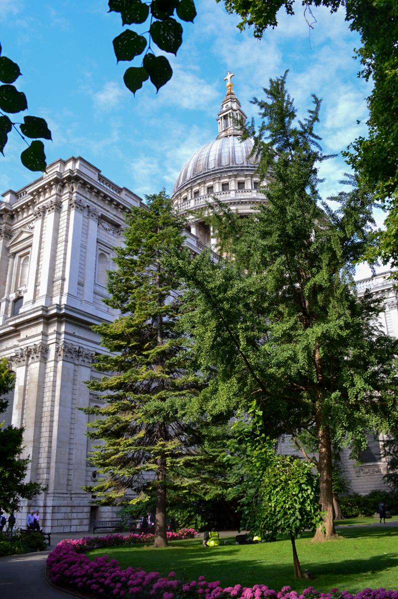 London - 2015 07 - 249 - Saint Pauls