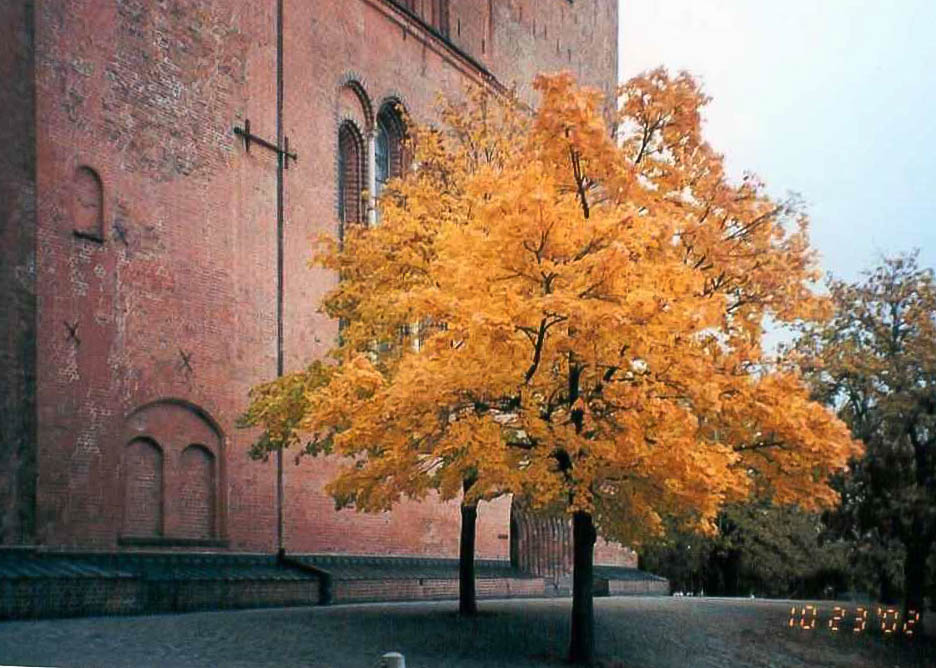 Lubeck - 2002 10 - 113 - Dom w Tree