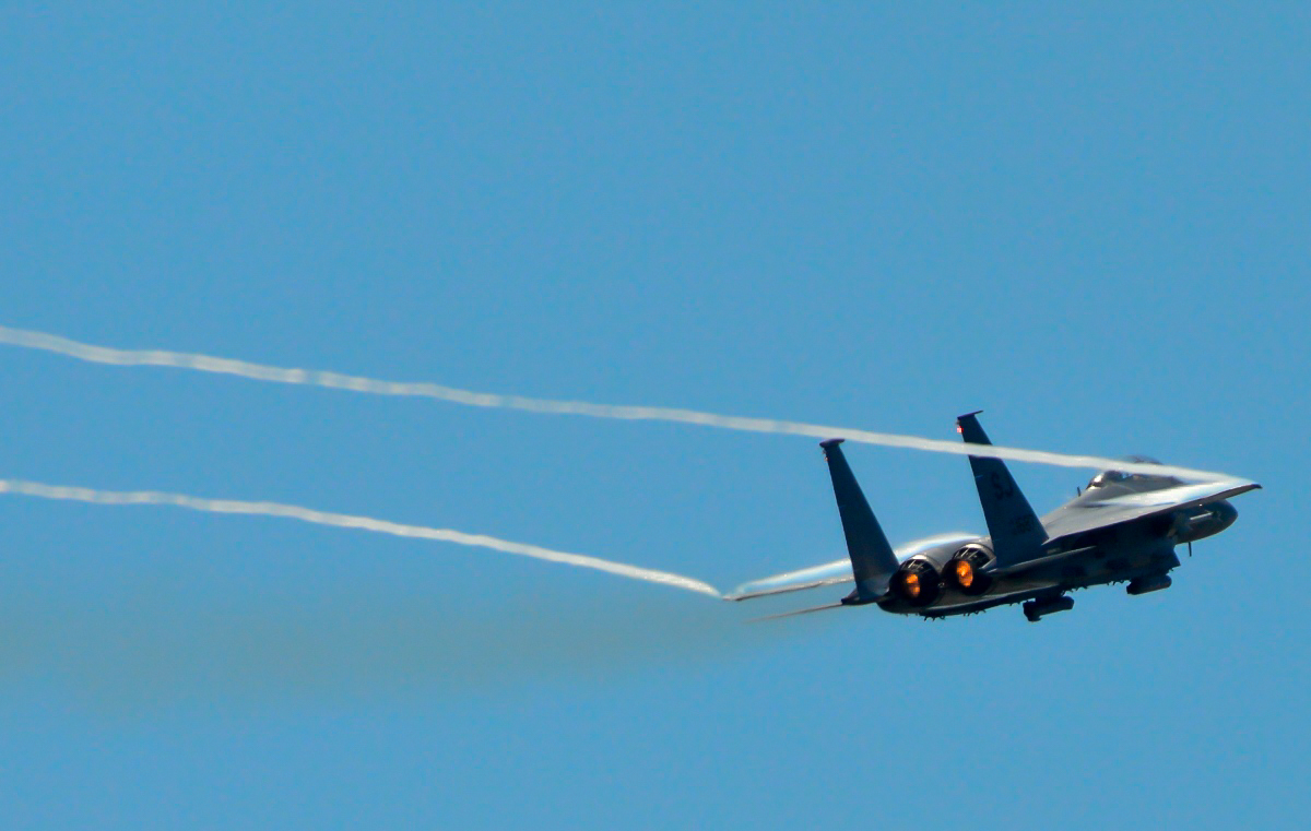 Military - Fighter - F-15E Strike Eagle - 2015 05 - Seymour Johnson - 51