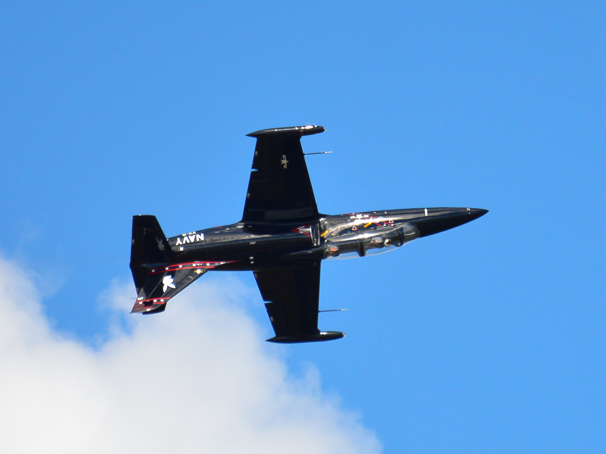 Military - Trainer - L-39 Albatros- 2015 09 - Oceana - 107