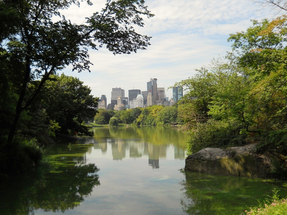 NYC - 2011 08 - 227 - Central Park