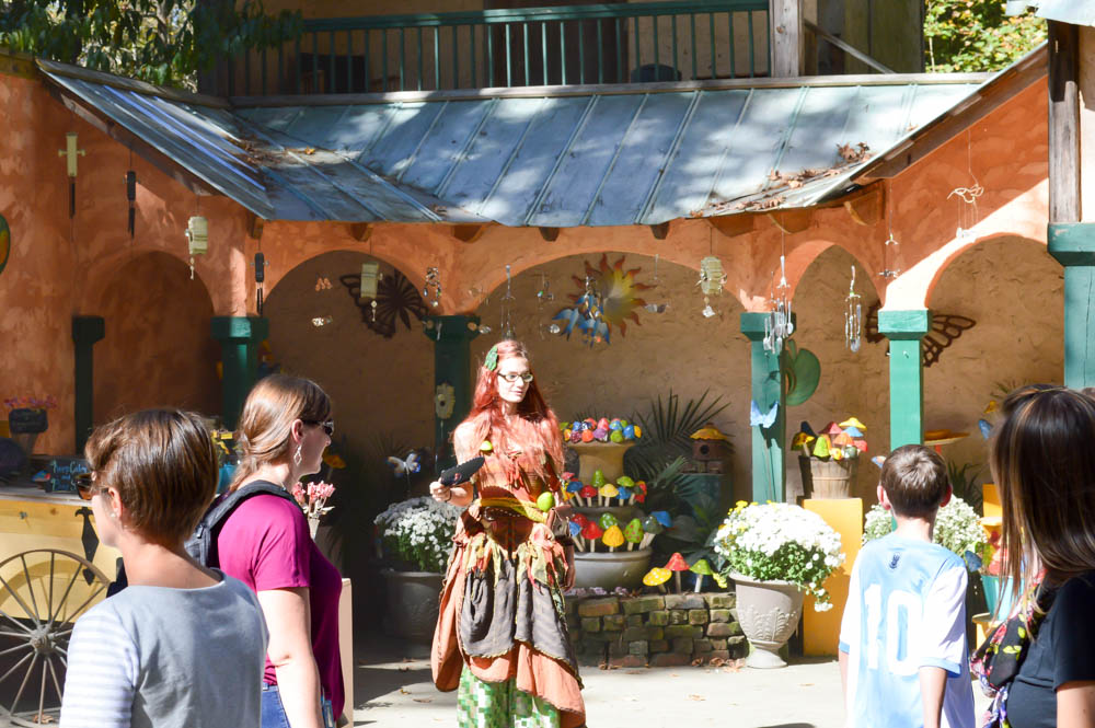 Renaissance Fair - 2014 10 - 11