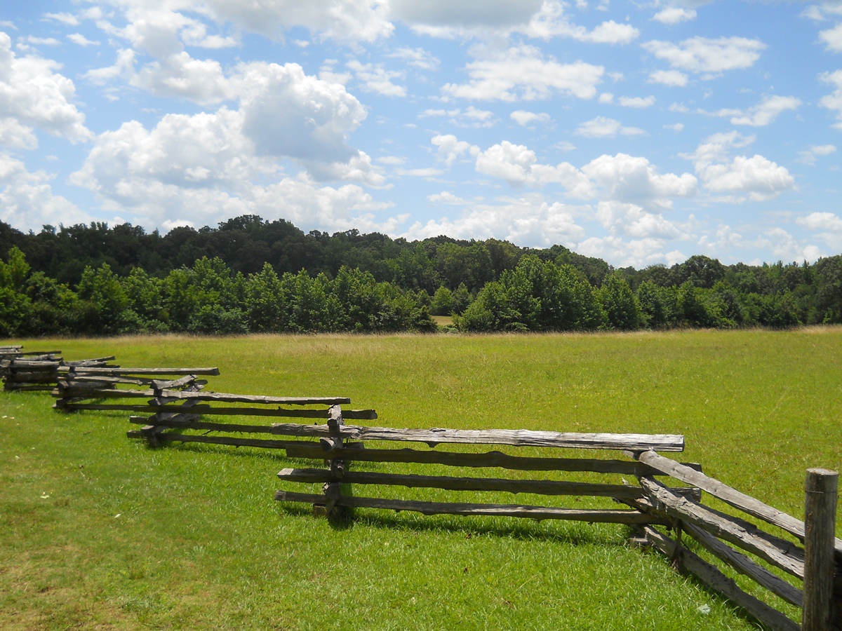 Shiloh - 2013 06 - 139 - Duncan Field