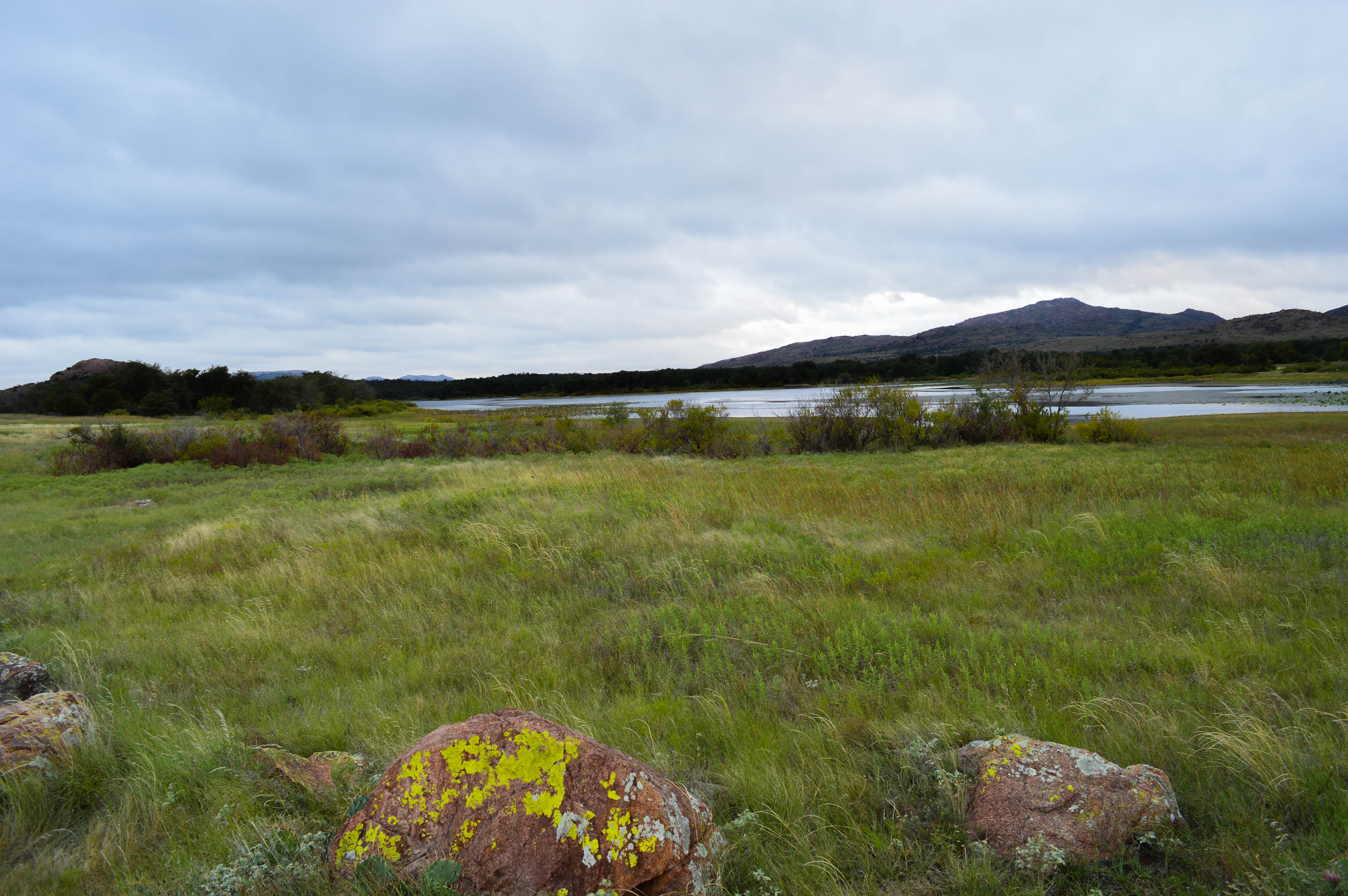 Wichita Wildlife Refuge - 2014 09 - 141