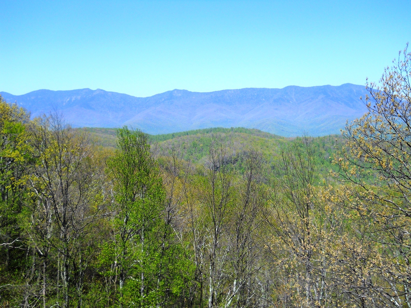 copy18_Blue Ridge Parkway - 2013 05 - 037