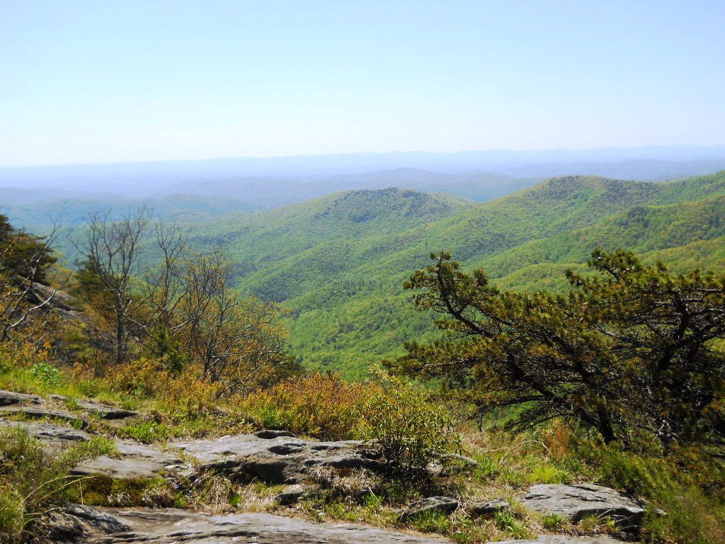 copy30_Blue Ridge Parkway - 2013 05 - 018 - Bluff Mountain