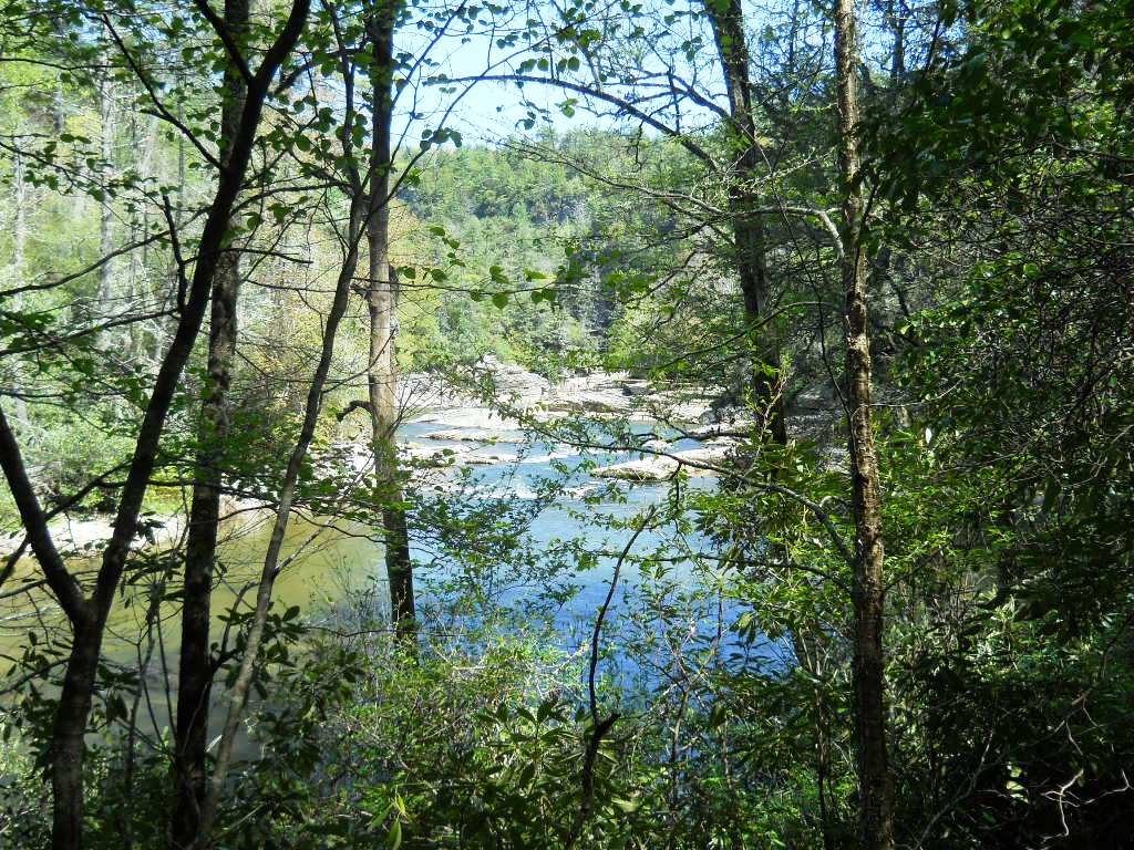 copy80_Linville Falls - 2013 05 - River - 11